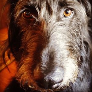 Meet your Posher, Lindsay